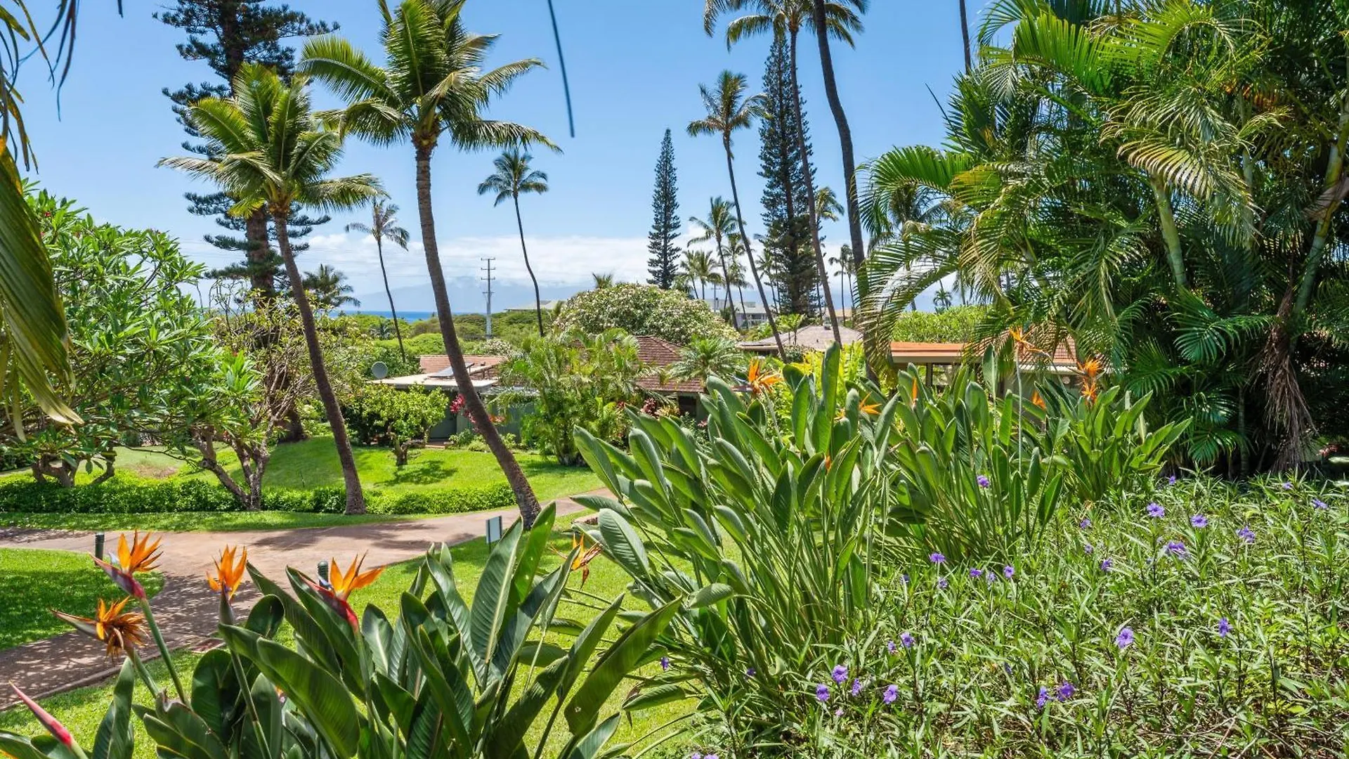 International Colony Club 23 Villa Lahaina United States